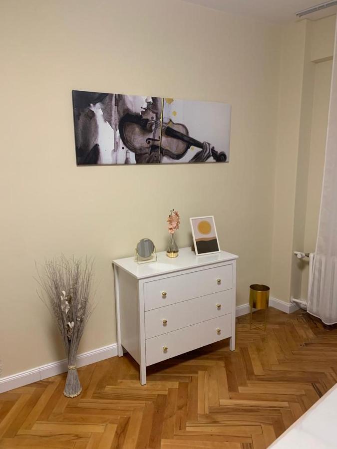 New Oldtown Apartment Near St Martin Cathedral, Ac, Balcony Bratislava Luaran gambar